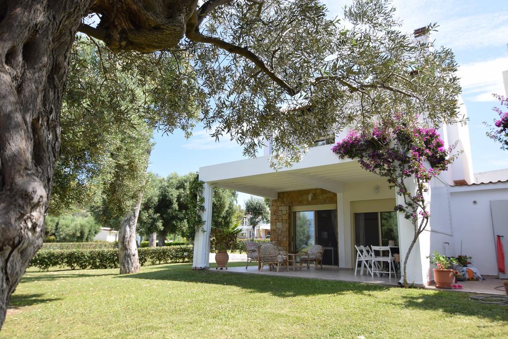 Villa Anemi Nea Skioni Exterior photo